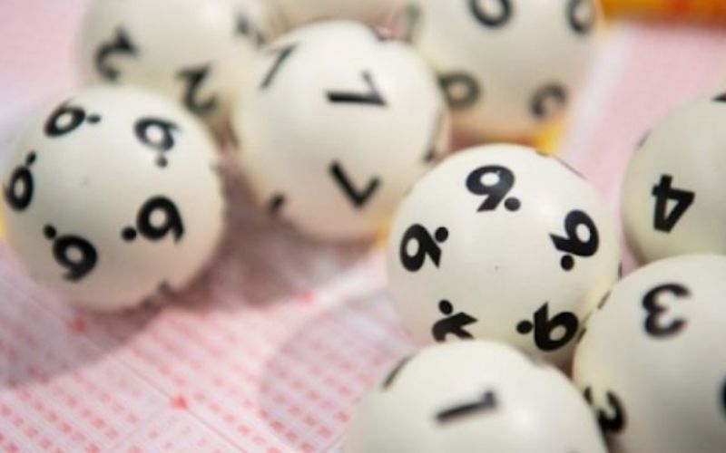 dàn đề nuôi 2 ngày