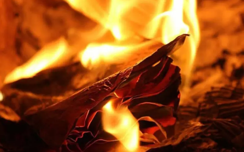 XO88 - Cách đốt phong long giải hạn cực chuẩn