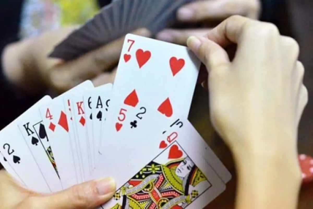 Ba đôi thông có chặt được heo hay không