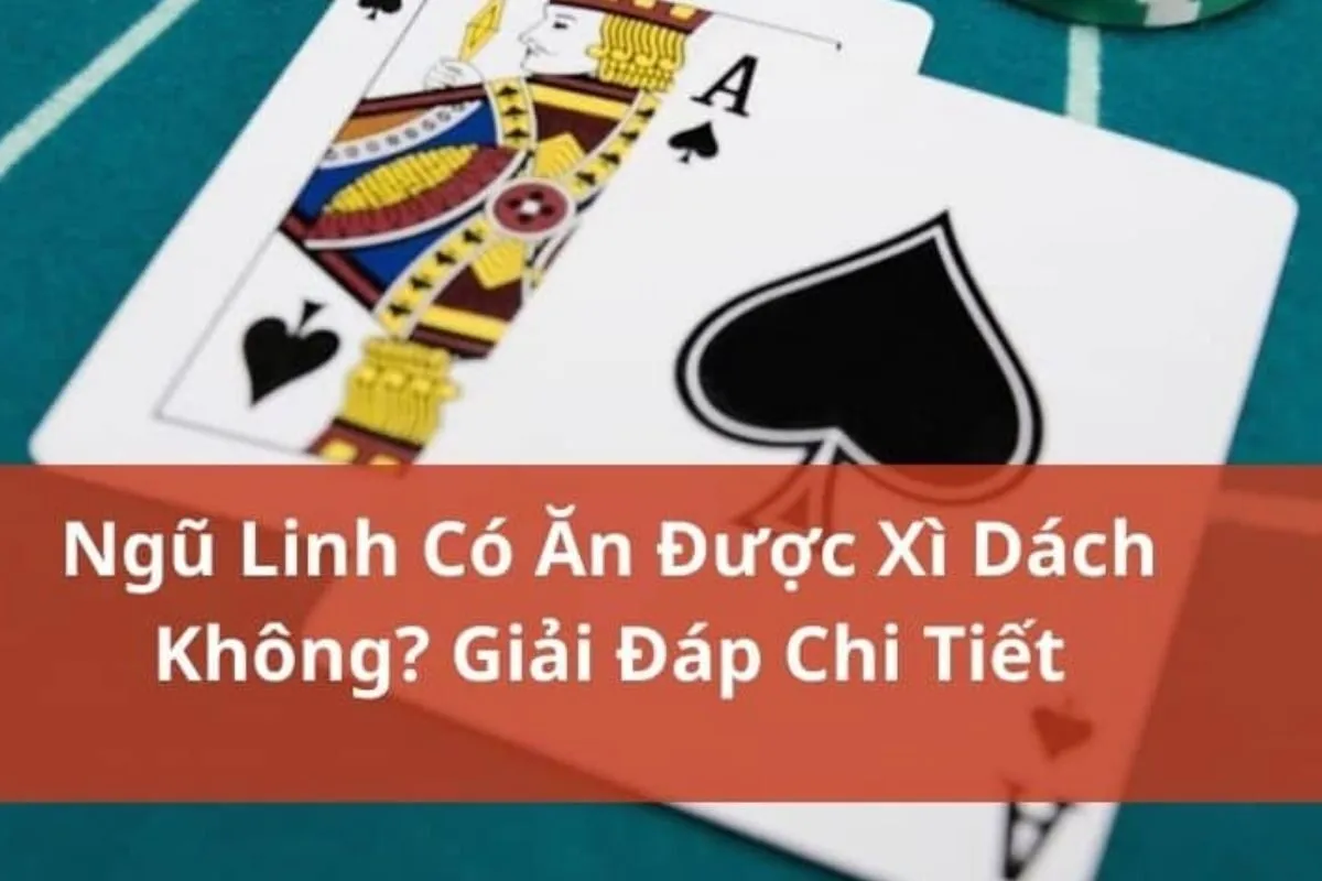 ngũ linh có ăn được xì bàn hay không